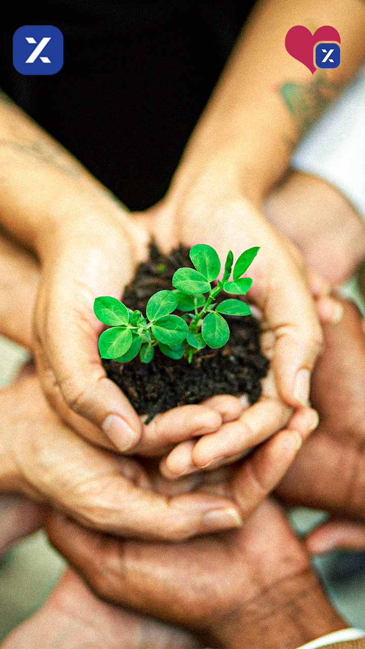 Simplify Your Tax Filing with TaxZerone for Nonprofits